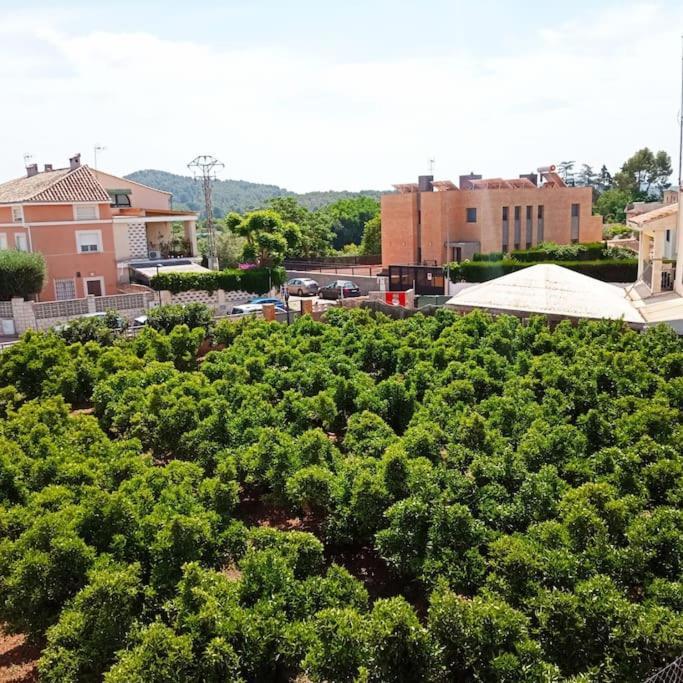 Piso Sierra Calderona A 15 Minutos Del Mar Estivella 아파트 외부 사진