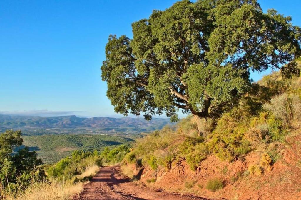 Piso Sierra Calderona A 15 Minutos Del Mar Estivella 아파트 외부 사진